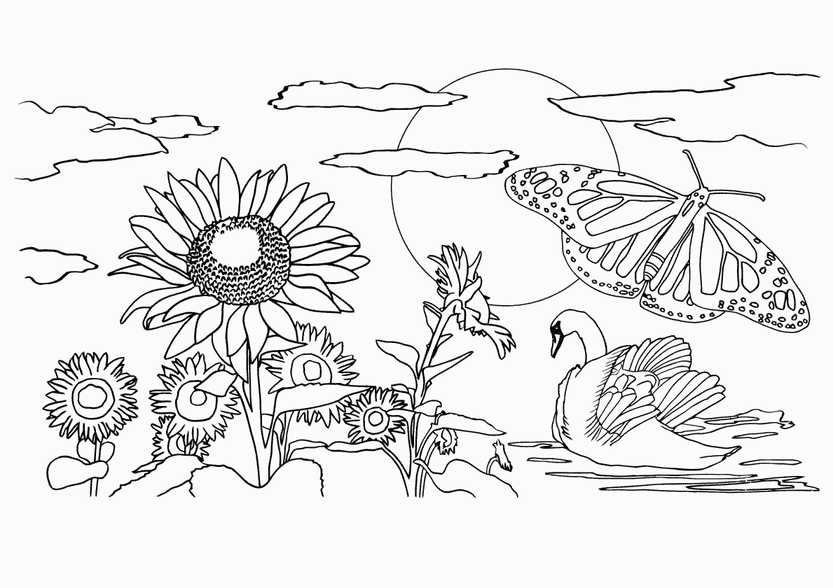 Coloring Pictures 5