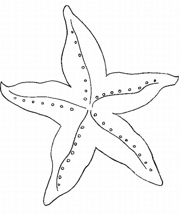 Star Coloring Pages 8